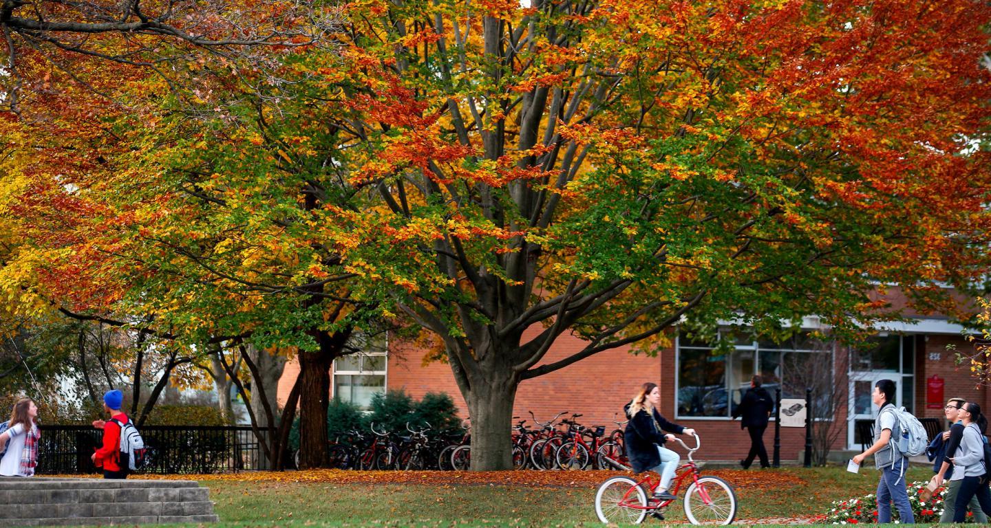 North Central College central campus in the fall